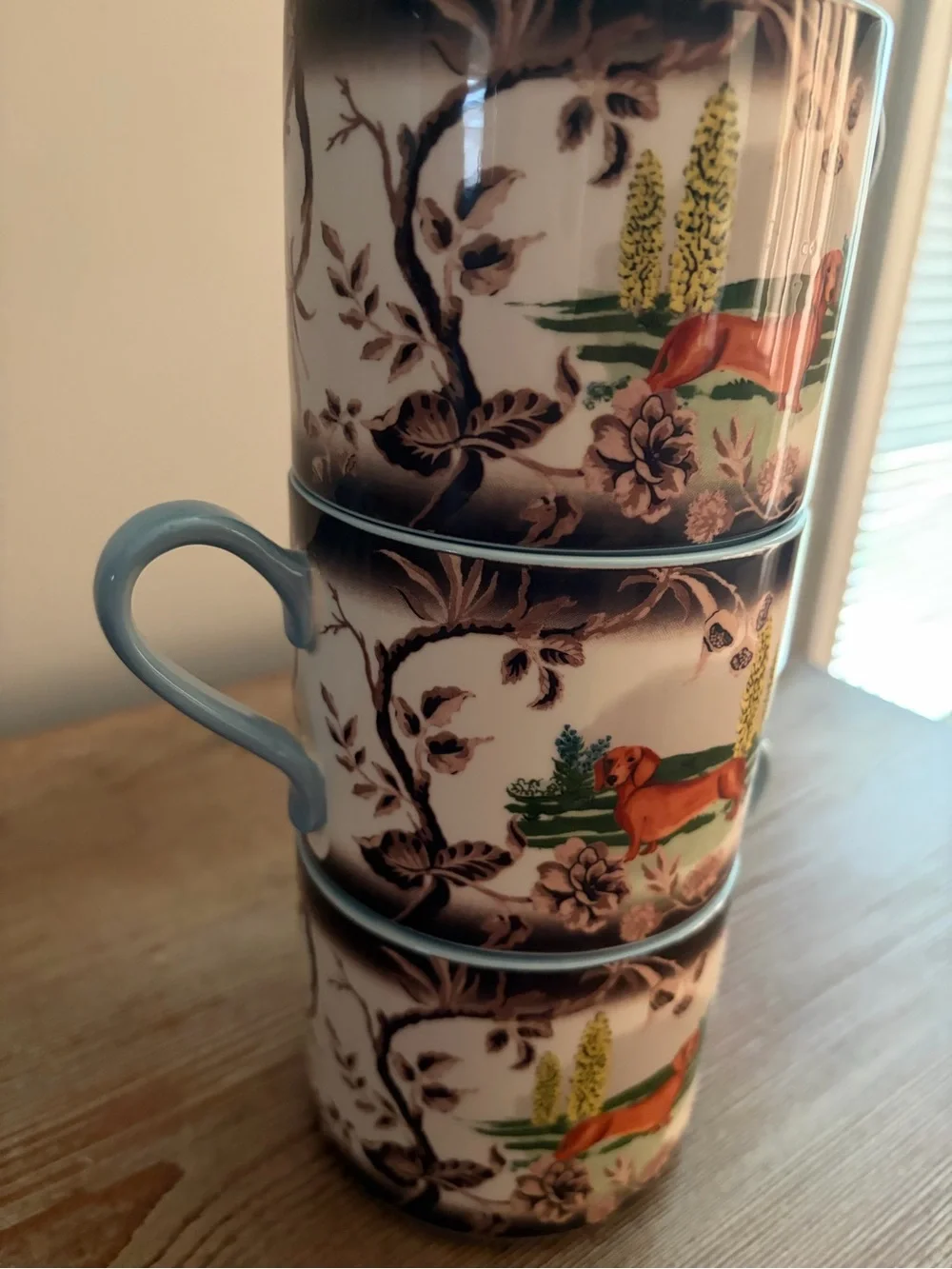 Anthropologie new never